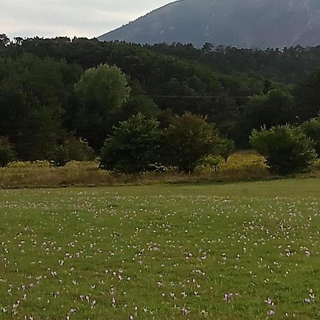 Montagne, Mer Et Verdon Séranon Dış mekan fotoğraf