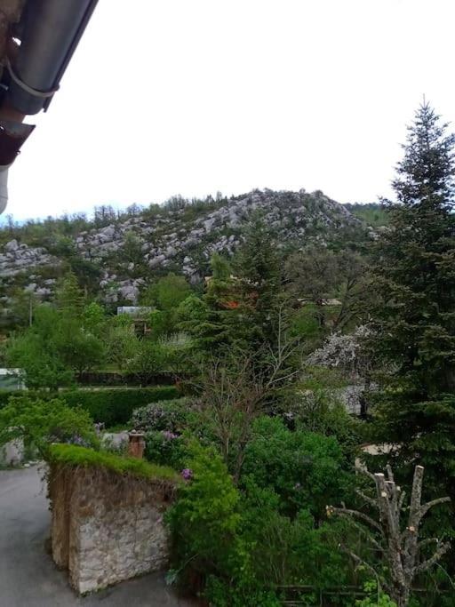 Montagne, Mer Et Verdon Séranon Dış mekan fotoğraf