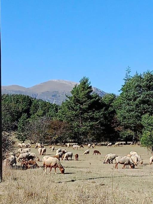 Montagne, Mer Et Verdon Séranon Dış mekan fotoğraf